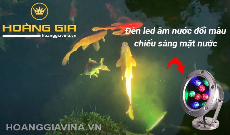 Dùng đèn led âm nước đổi màu chiếu sáng mặt nước hồ cá Koi - hoaanggiavina.vn