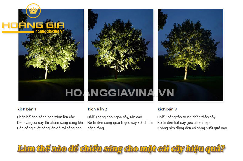 Làm thế nào để chiếu sáng cho một cái cây hiệu quả nhất